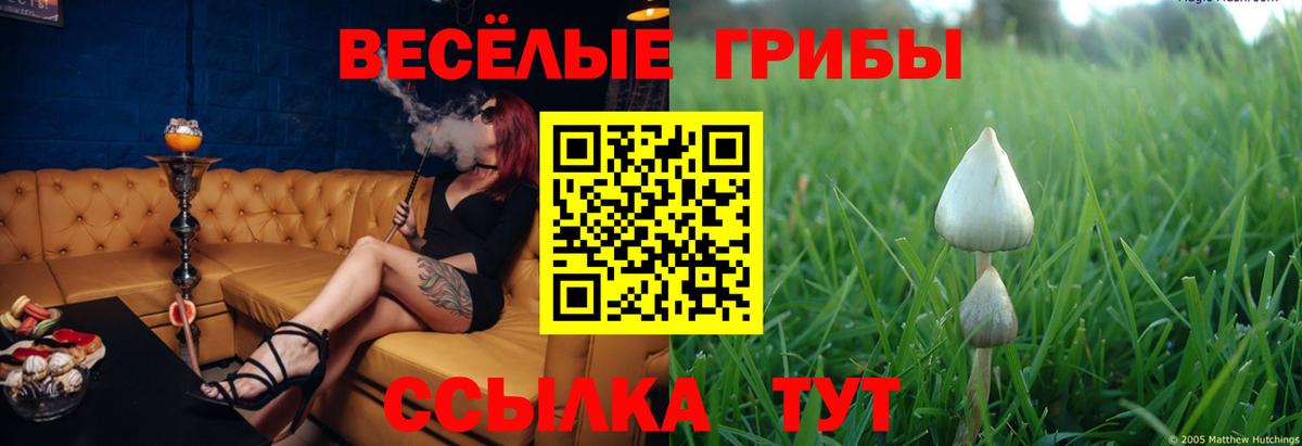 Галлюциногенные грибы мицелий Ханты-Мансийск